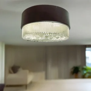 Philips flush mount lamp